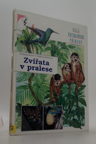 Zvířata v pralese