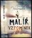 Malíř vzpomínek (Gwendolyn Womack, 2016)