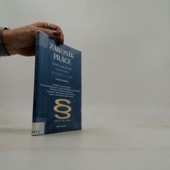 Zákoník práce chyby a problémy