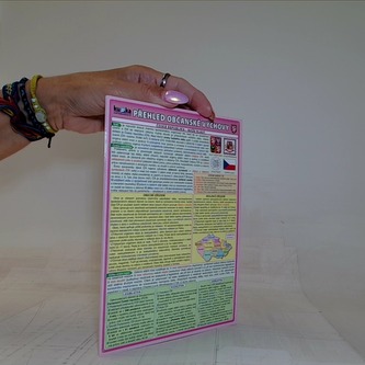 Přehled občanské výchovy