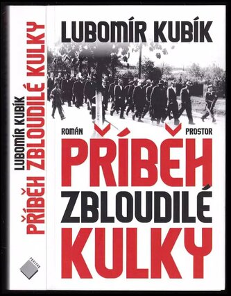 Příběh zbloudilé kulky (Lubomír Kubík, 2017)