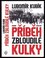 Příběh zbloudilé kulky (Lubomír Kubík, 2017)