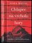 Chlapec na vrcholu hory (John Boyne, 2017)
