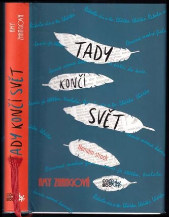 Tady končí svět (Amy Zhang, 2017)