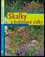 Skalky a květinové zídky (Martin Haberer, 2005)