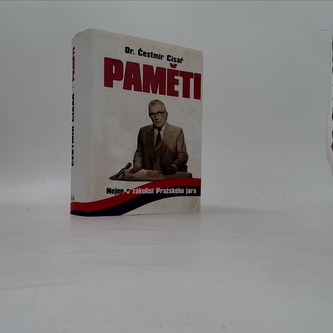 Paměti