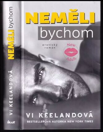 Neměli bychom (Vi Keeland, 2021)
