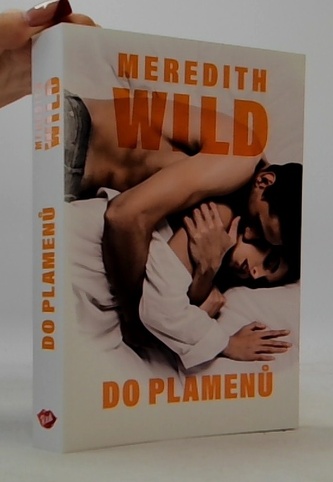 Do plamenů