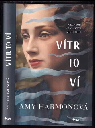 Vítr to ví (Amy Harmon, 2021)