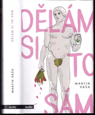 Dělám si to sám (Martin Váša, 2017)