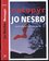 Netopýr : první případ Harryho Holea - první případ Harryho Holea (Jo Nesbø, 2021)