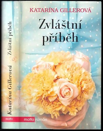 Zvláštní příběh (Katarína Gillerová-Brezníková, 2017)