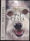 Psí cesta