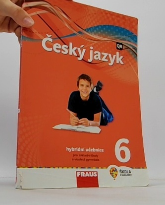 Český jazyk 6