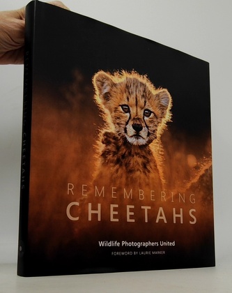 Remembering Cheetahs