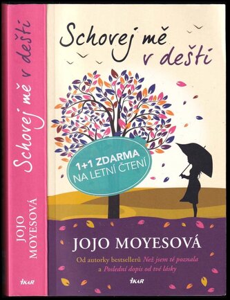 Schovej mě v dešti (Jojo Moyes, 2021)