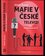 Mafie v České televizi, aneb, Jak zprivatizovat ČT (Martin Švehla, 2017)