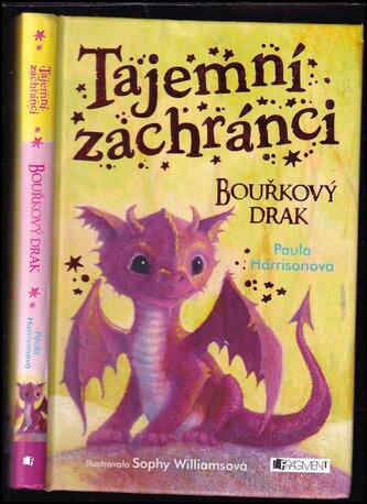 Tajemní zachránci : Bouřkový drak (Paula Harrison, 2017)