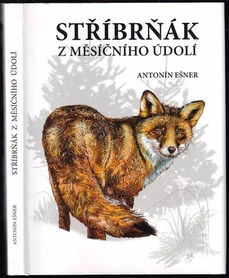 Stříbrňák z Měsíčního údolí (Antonín Ešner, 2017)