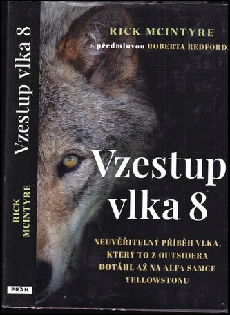 Vzestup vlka 8 : neuvěřitelný příběh vlka, který to z outsidera dotáhl až na alfa samce Yellowstonu (Rick McIntyre, 2021)