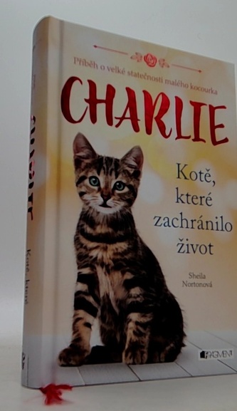 Charlie - kotě, které zachránilo život