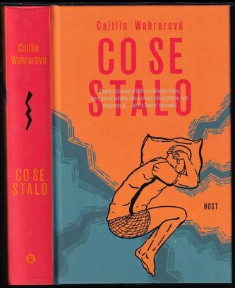Co se stalo (Caitlin Wahrer, 2021)