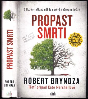 Propast smrti : třetí případ Kate Marshallové (Robert Bryndza, 2021)