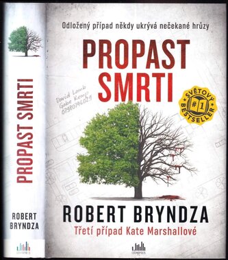 Propast smrti : třetí případ Kate Marshallové (Robert Bryndza, 2021)