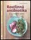Rostlinná antibiotika si vyrobíme sami : léčení a prevence kořením a bylinkami (Claudia Ritter, 2018)