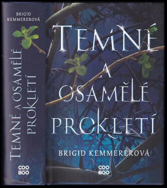 Temné a osamělé prokletí (Brigid Kemmerer, 2021)