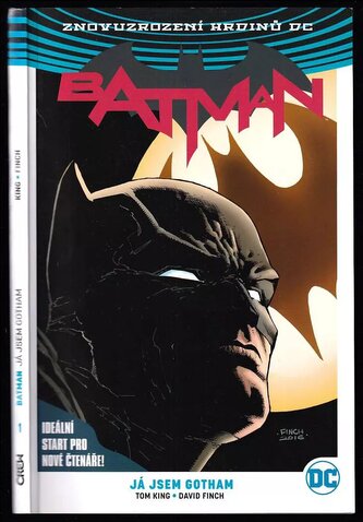 Batman : Já jsem Gotham - 1. díl (Scott Snyder, 2018)