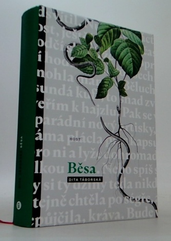 Běsa