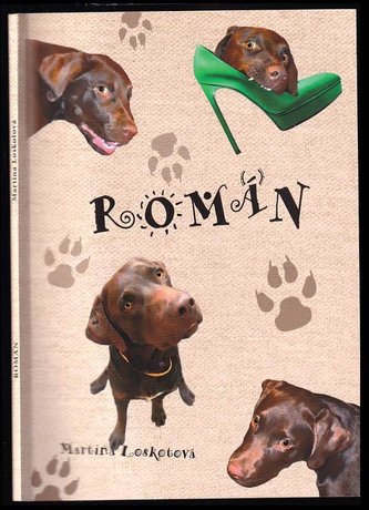 Román (Martina Loskotová, 2018)
