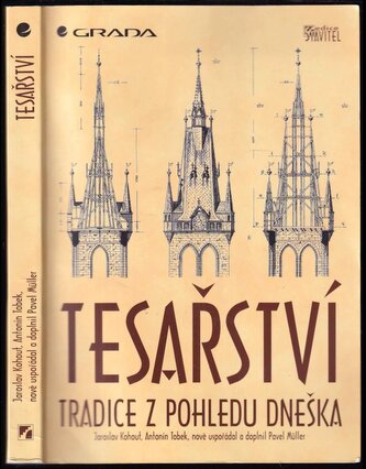 Tesařství : tradice z pohledu dneška (Antonín Tobek, 1996)