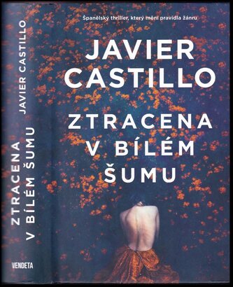 Ztracena v bílém šumu (Javier Castillo, 2022)