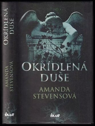 Okřídlená duše (Amanda Stevens, 2018)