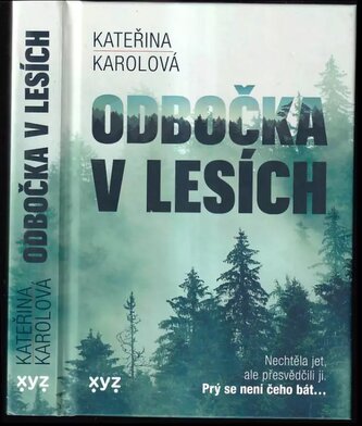 Odbočka v lesích (Karolová Kateřina, 2022)
