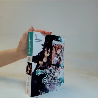 Sword Art Online Aincrad