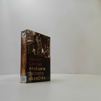 Anatomie jednoho okamžiku