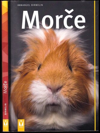 Morče (Immanuel Birmelin, 2018)