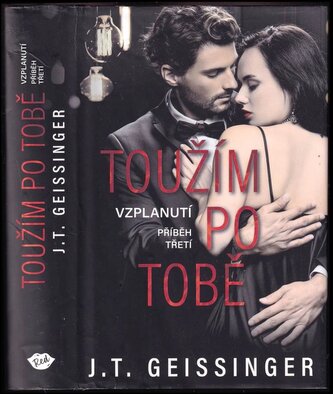 Toužím po tobě (J. T Geissinger, 2022)