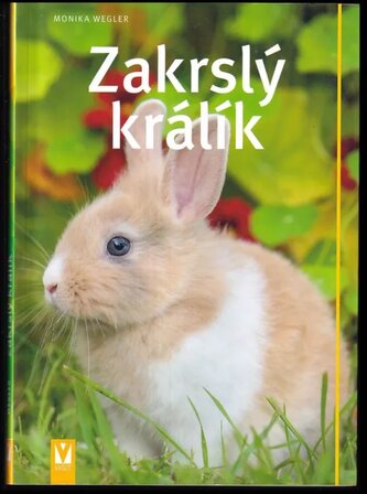 Zakrslý králík (Monika Wegler, 2019)