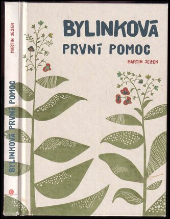 Bylinková první pomoc (Barbara Gyönyör, 2019)