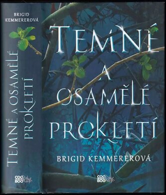 Temné a osamělé prokletí (Brigid Kemmerer, 2019)