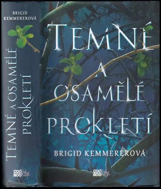 Temné a osamělé prokletí (Brigid Kemmerer, 2019)