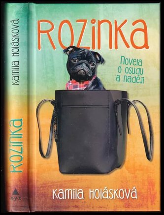 Rozinka : novela o osudu a naději (Kamila Holásková, 2019)