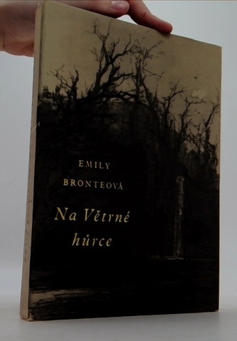 Na větrné hůrce