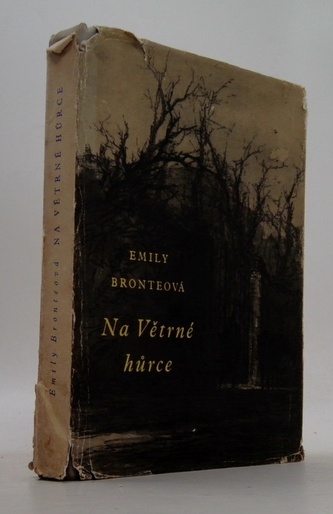 Na větrné hůrce