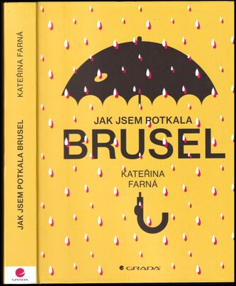 Jak jsem potkala Brusel (Kateřina Farná, 2019)