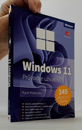 Windows 11